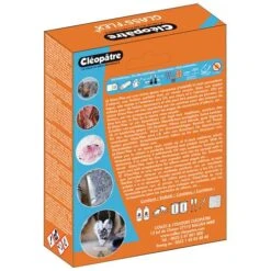 Cléopâtre Resin 100 9 Cléopâtre Resin 100 -CLAIREFONTAINE || Canson || Golden Shop ClC3A9opC3A2treResin100 2