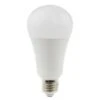 Daylight Energy Saving Bulbs -CLAIREFONTAINE || Canson || Golden Shop DaylightEnergySavingBulbs