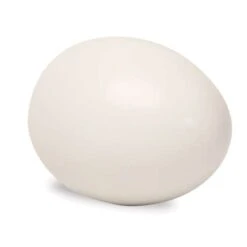 Egg Casting Moulds 10 Egg Casting Moulds -CLAIREFONTAINE || Canson || Golden Shop EggCastingMoulds 3