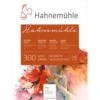 Hahnemuehle 300 Watercolour Paper Blocks 1 Hahnemuehle 300 Watercolour Paper Blocks -CLAIREFONTAINE || Canson || Golden Shop Hahnemuehle300WatercolourPaperBlocks