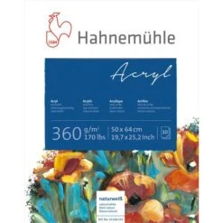 Hahnemuehle Acrylic Painting Blocks 12 Hahnemuehle Acrylic Painting Blocks -CLAIREFONTAINE || Canson || Golden Shop HahnemuehleAcrylicPaintingBlocks 4