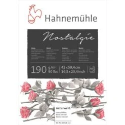 Hahnemuehle Nostalgie Sketch Pads -CLAIREFONTAINE || Canson || Golden Shop HahnemuehleNostalgieSketchPads 3