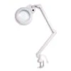 Native Lighting | Chameleon Magnifying Lamp - Table Light 1 Native Lighting | Chameleon Magnifying Lamp - Table Light -CLAIREFONTAINE || Canson || Golden Shop NativeLighting7CChameleonMagnifyingLamp tablelight