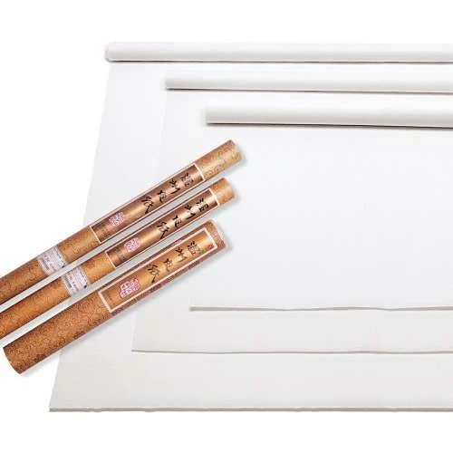 Wenzhou China Paper Rolls 6 Wenzhou China Paper Rolls - Image 4